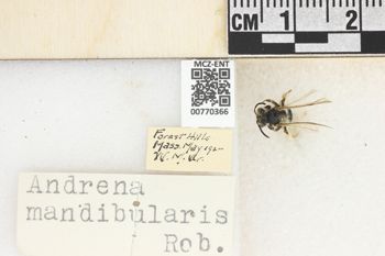 Media type: image;   Entomology 770366 Aspect: Labels